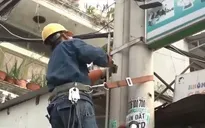TP.HCM: Xử lý nhiều vi phạm an toàn ở các cột điện, trạm biến áp