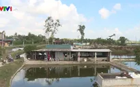 Nghi ngờ thiếu minh bạch trong chi tiền hỗ trợ thiệt hại do thiên tai ở Thanh Hóa