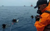 Vụ tai nạn máy bay Lion Air: Đình chỉ giám đốc và nhân viên kỹ thuật
