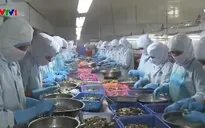 WB nâng dự báo tăng trưởng GDP Việt Nam lên 6,8%