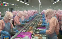 Cơ sở nào đưa ra kỳ vọng tăng trưởng kinh tế 6,9-7%?