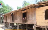 Nhiều hộ di dân tự do được cấp quốc tịch Việt Nam