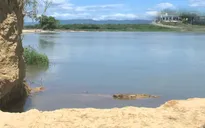 Nỗi lo sạt lở mùa mưa bão ám ảnh người dân vùng ven sông Ô Lâu