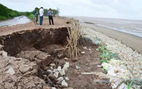 Sạt lở bờ biển gia tăng tại Đồng bằng sông Cửu Long