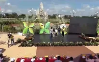 Cặp lá yêu thương: Những trang sách mới