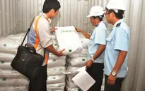 Buộc tái xuất gần 350 tấn phân bón không đạt chất lượng