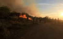 Mỹ: Hơn 19.000 ha rừng bang Arizona bị cháy chỉ vì một bữa tiệc