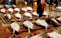 Phiên đấu giá cuối cùng năm 2018 tại chợ cá lớn nhất thế giới Tsukiji