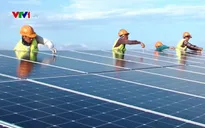 Hoàn thiện dự thảo đấu thầu điện mặt trời