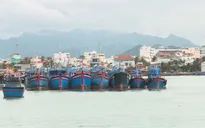 Thiếu lao động đi biển, nhiều chủ tàu phải chọn cả người nghiện ma tuý