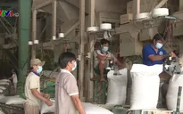 Tháo gỡ rào cản xuất khẩu gạo