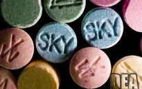 Australia thu giữ hơn nửa tấn Ecstasy