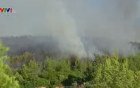 Khống chế thành công cháy rừng tại Bồ Đào Nha