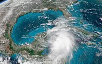 Mỹ và Mexico gấp rút chuẩn bị ứng phó với bão Michael nhiệt đới cấp 3