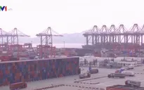 IMF hạ dự báo tăng trưởng kinh tế toàn cầu