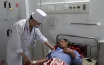 Bị ong vò vẽ đốt, nam thanh niên hôn mê