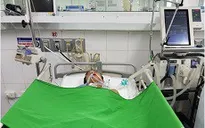Người đàn ông bị hôn mê sâu nghi bị rắn cạp nia cắn