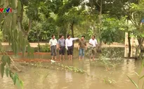 Triều cường gây ngập ở Cần Thơ và Đồng Tháp