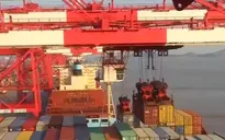 Các doanh nghiệp tráo đổi mã HTS để né thuế nhập khẩu vào Mỹ