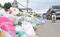 Lâm Đồng: Rác bị ùn ứ trong nhiều ngày gây ô nhiễm môi trường