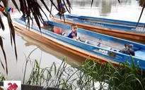 Trẻ tử vong do đuối nước ở Việt Nam cao gấp 10 lần các nước phát triển