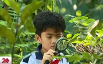 Thú vị lớp học ở Thảo Cầm Viên