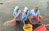 Hiệu quả tái cơ cấu nông nghiệp