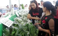 Đẩy mạnh cung cấp sản phẩm nông nghiệp sạch