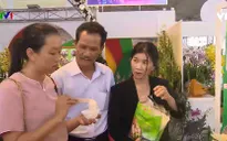 Nhiều sản phẩm công nghệ cao ra mắt công chúng miền Tây