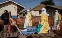 Dịch Ebola tại CHDC Congo có nguy cơ vượt khỏi tầm kiểm soát