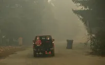 Người dân California, Mỹ lao đao vì cháy rừng