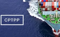 Việt Nam là quốc gia thứ 7 phê chuẩn CPTPP
