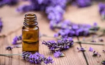 11 loại tinh dầu xóa tan nỗi lo lão hóa