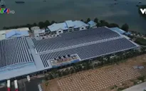 Cần đẩy nhanh cơ chế mua bán điện mặt trời