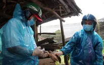 Tăng cường ứng phó dịch cúm, nỗ lực ổn định thị trường gia cầm