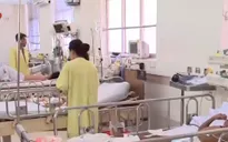 TP.HCM: Sốt xuất huyết vào đỉnh dịch
