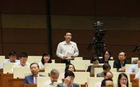 Sáng 14/11, Quốc hội nghe báo cáo về công tác giải quyết khiếu nại, tố cáo năm 2018