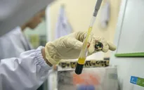 Bệnh viện Phụ sản Hà Nội sàng lọc trên 17.000 ca bệnh lý tim bẩm sinh