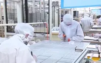 Doanh nghiệp Đức muốn tiếp tục mở rộng đầu tư tại Việt Nam