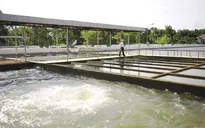 Vùng ven Đà Nẵng với nỗi lo thiếu nước sạch
