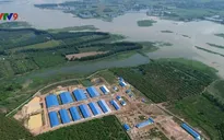 Cần xem xét trách nhiệm quản lý vụ trại lợn xây trái phép ở đầu nguồn hồ Trị An