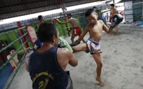 Để thoát nghèo, nhiều võ sĩ thi đấu Muay Thái từ khi còn nhỏ tuổi