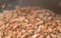 Việt Nam sở hữu hơn 1 triệu tấn/năm nguồn phụ phẩm thủy hải sản