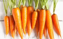 Cà rốt – vị thuốc bổ ích