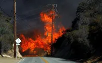 Hơn 1.000 người mất tích do cháy rừng tại California