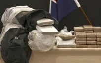 New Zealand thu giữ lượng cocaine kỷ lục trong container chuối