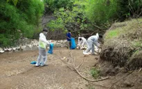 Đăk Lăk triển khai ngăn chặn dịch cúm gia cầm A/H5N6