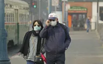 San Francisco, Mỹ chìm trong khói độc