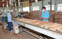 Tạm dừng kinh doanh tạm nhập, tái xuất gỗ tròn, gỗ xẻ từ Lào, Campuchia