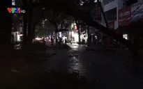 Cần Thơ: Cây cổ thụ gãy đổ, cả tuyến phố mất điện
